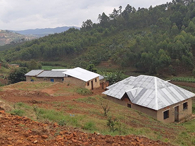 Cabañas y bosque